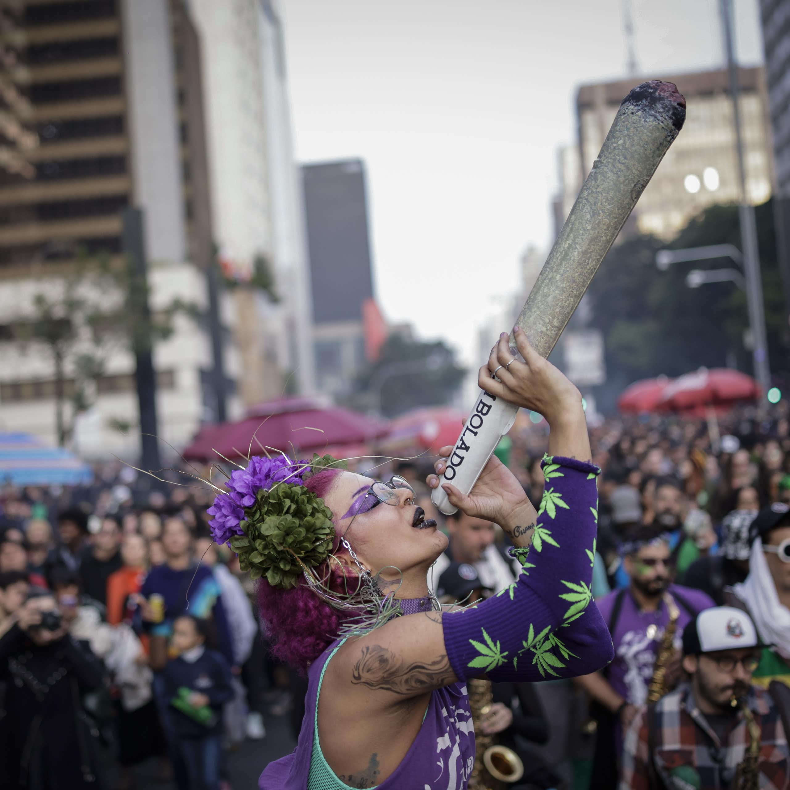 Personalidade curiosa pode ser o principal fator para o uso recreativo de Cannabis