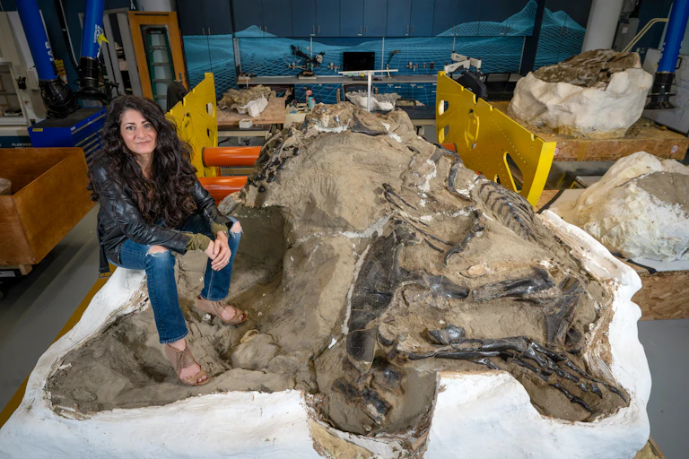 Woman wearing jeans sitting on dinosaur skeletons encased in rock.