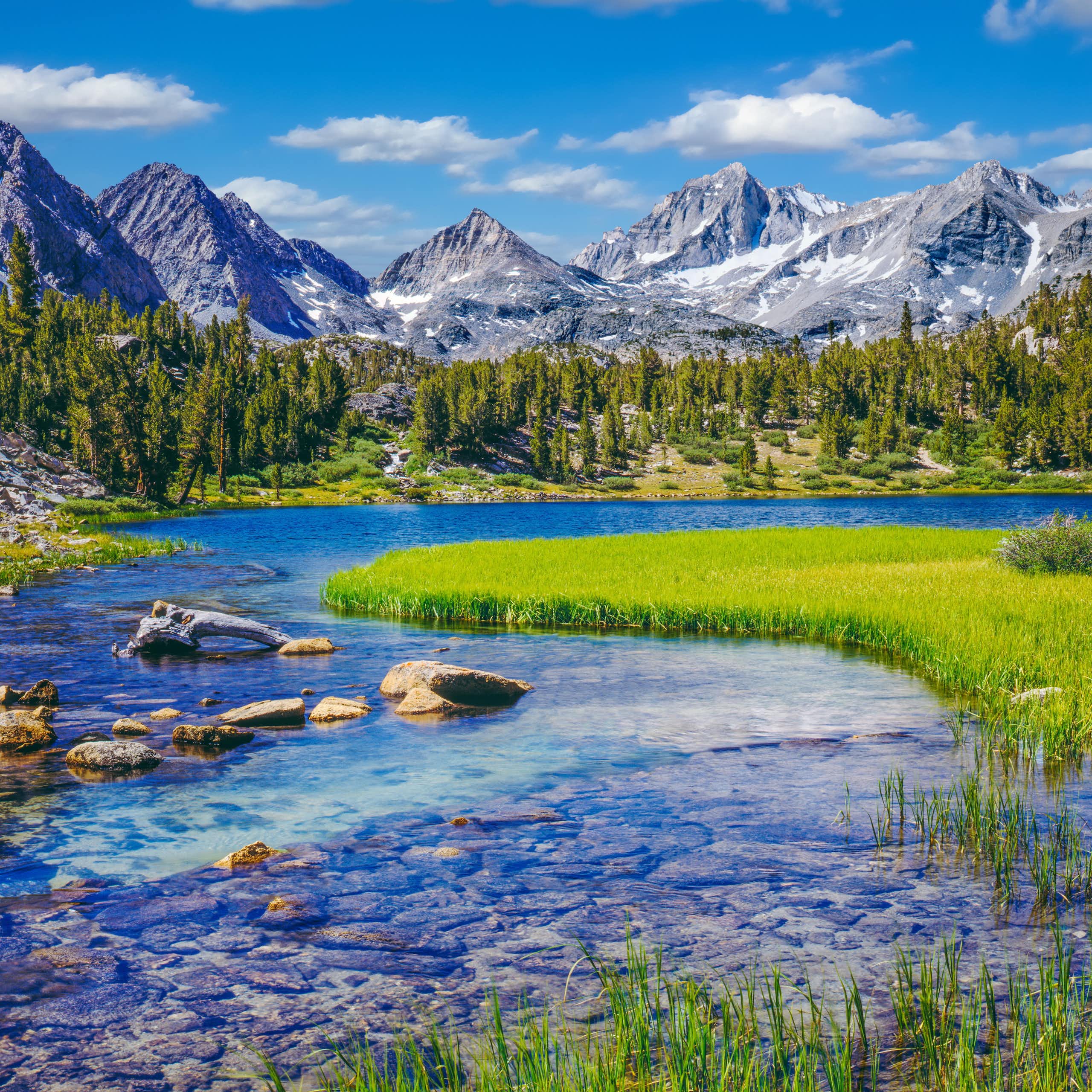A view of a mountain stream with snow peaks and a meadow behind it.
