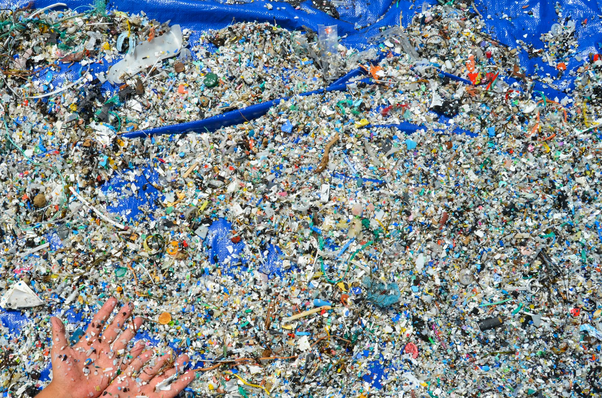 Plastics and microplastics in sand on a beach in the Canary Islands