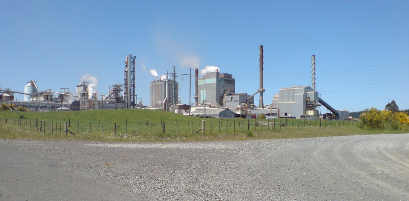 The Hidden Impact of Factory Closures: How Tokoroa's Job Losses Reveal a Deeper Community Crisis