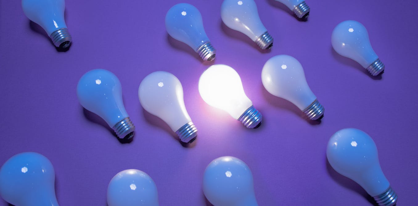 NZ needs more entrepreneurs. Will its new tertiary strategy reward real risk takers?