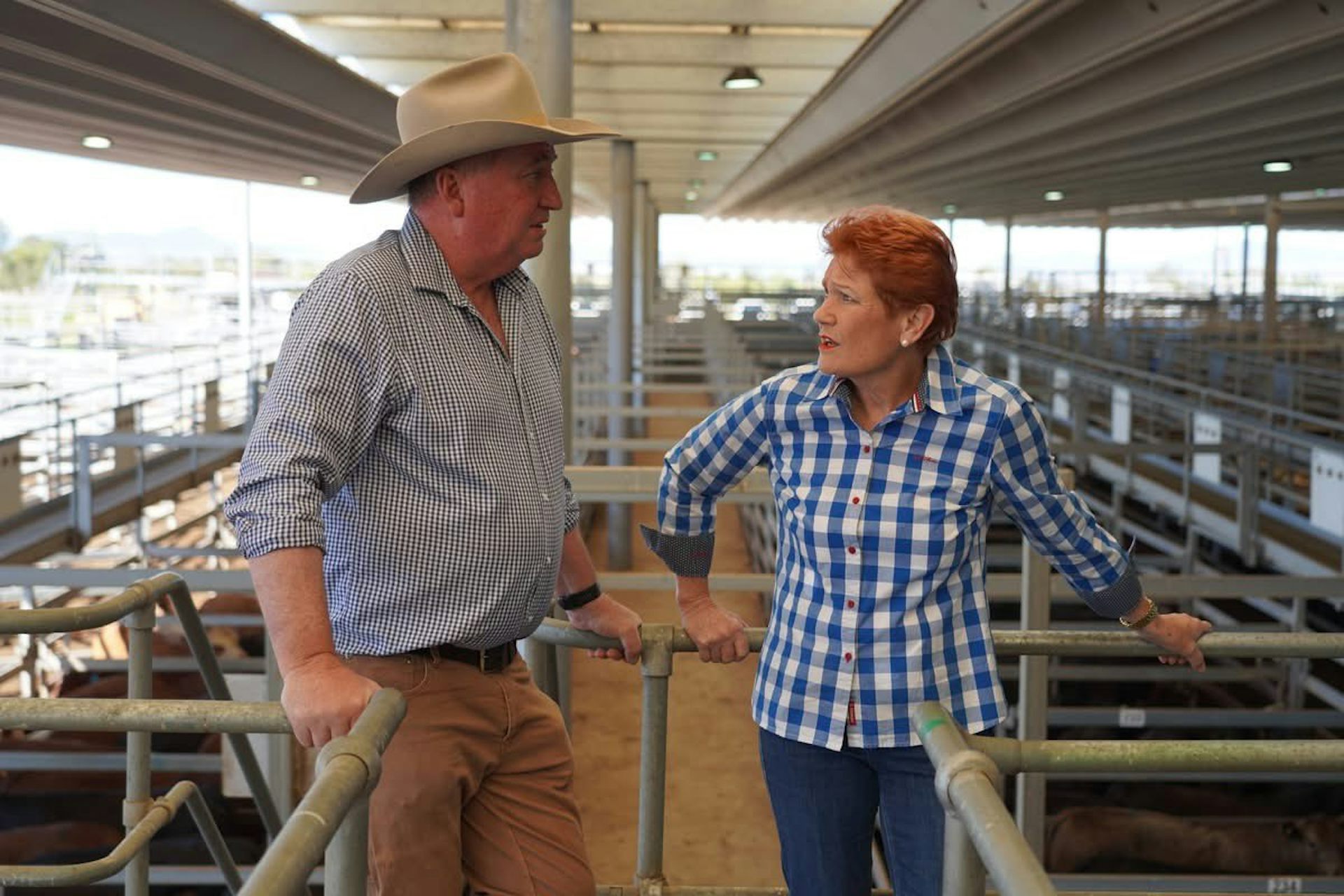 Barnaby Joyce joins One Nation to run as NSW Senate candidate in 2028