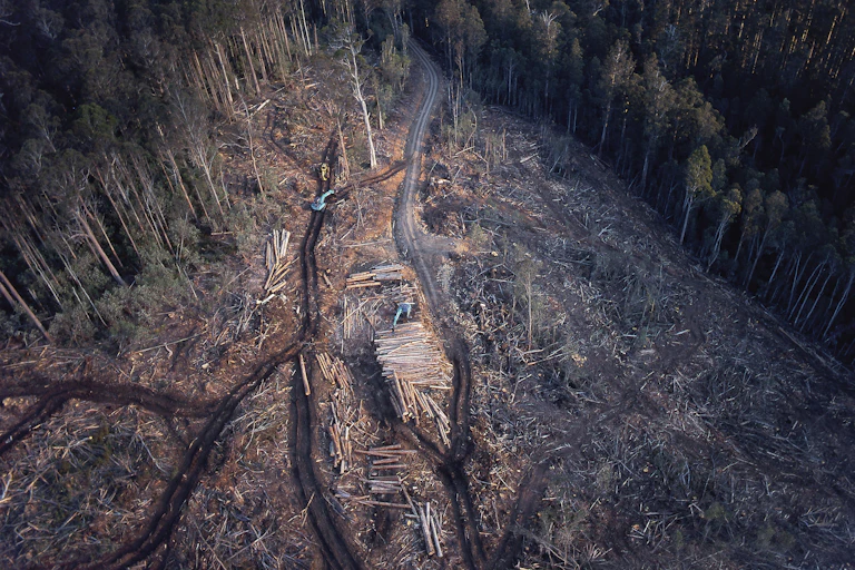 The top of a deforested hillside