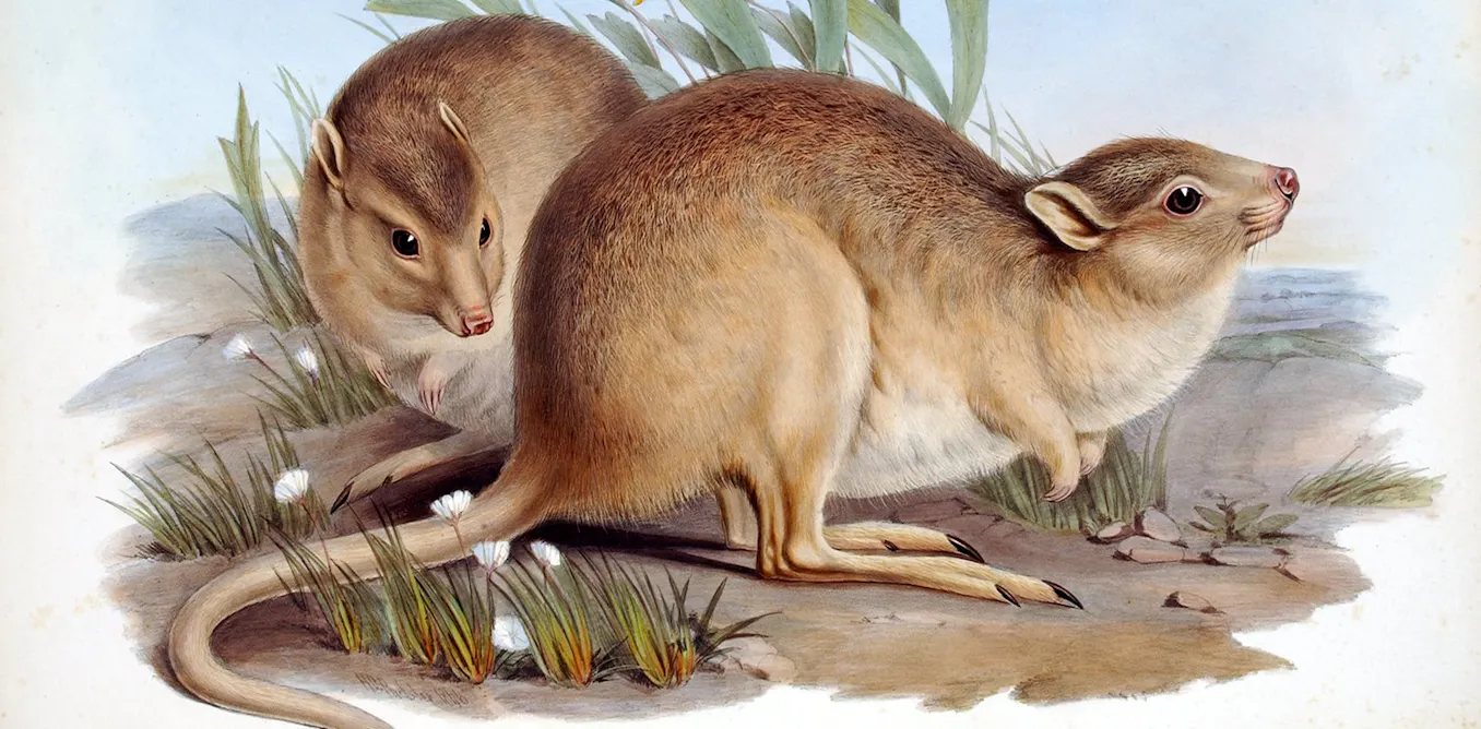 With every extinction, we lose not just a species but a treasure trove of knowledge