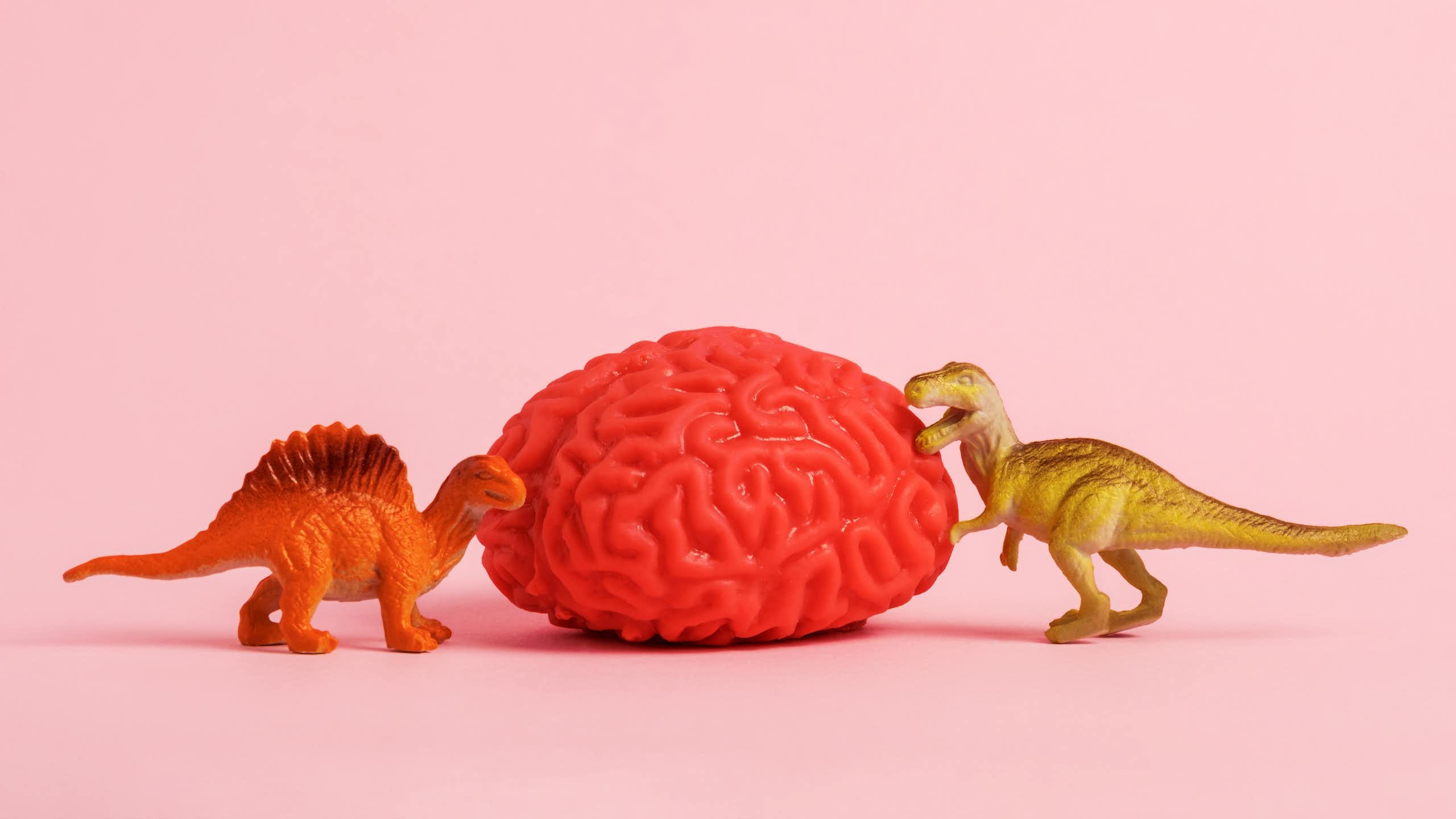 Models of dinosaurs and human brain