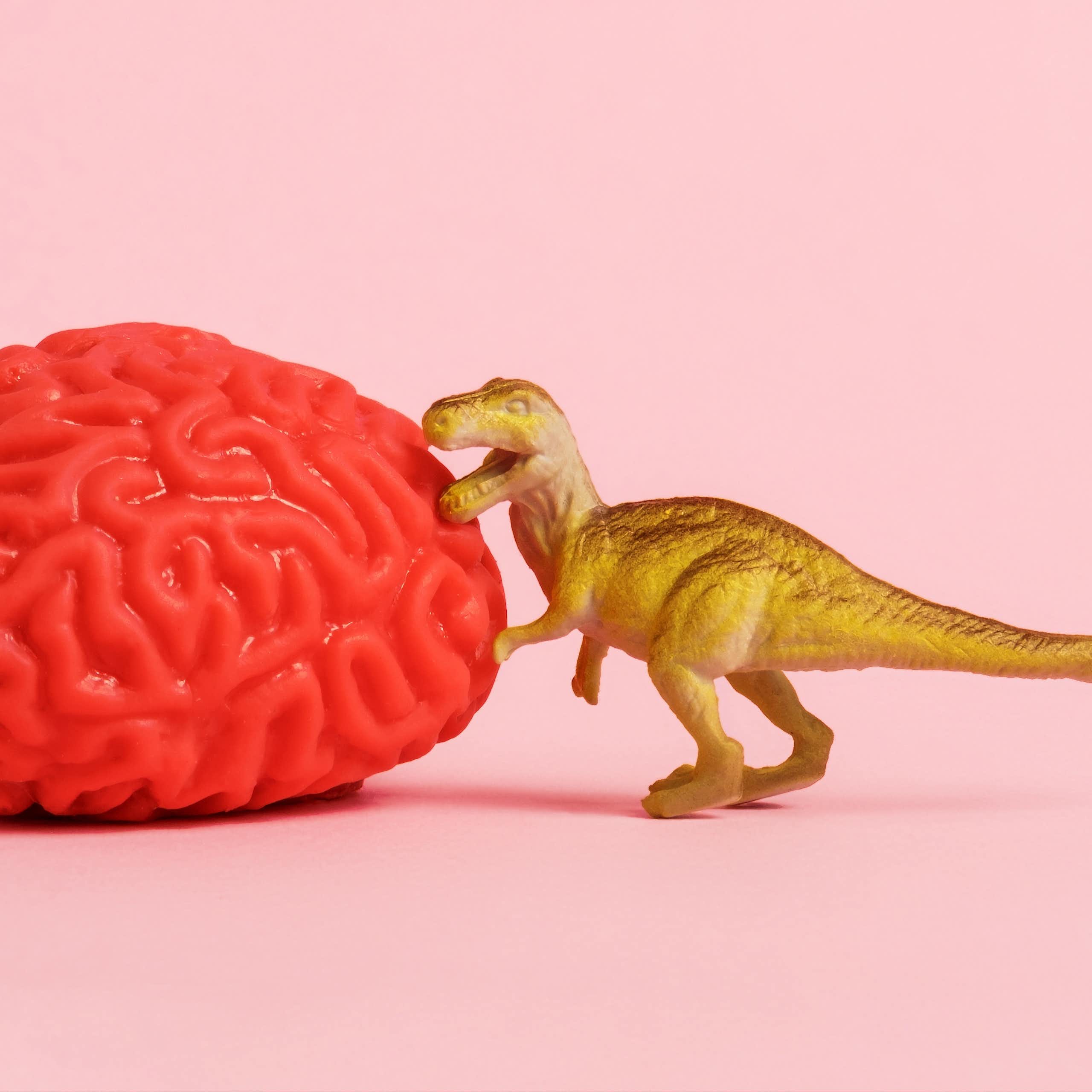 Models of dinosaurs and human brain
