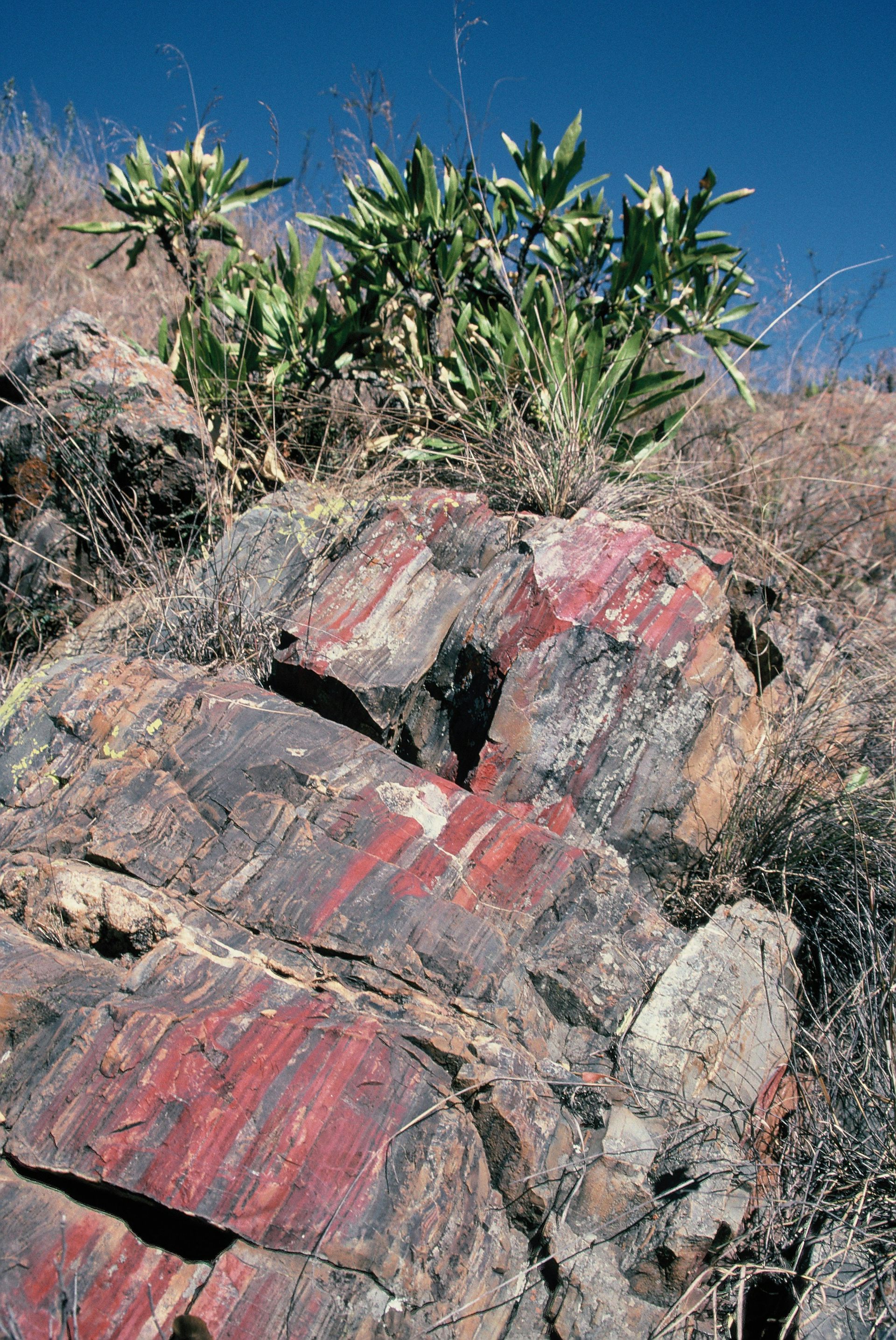 Ancient African bedrock reveals the violent beginnings of life on our blue planet