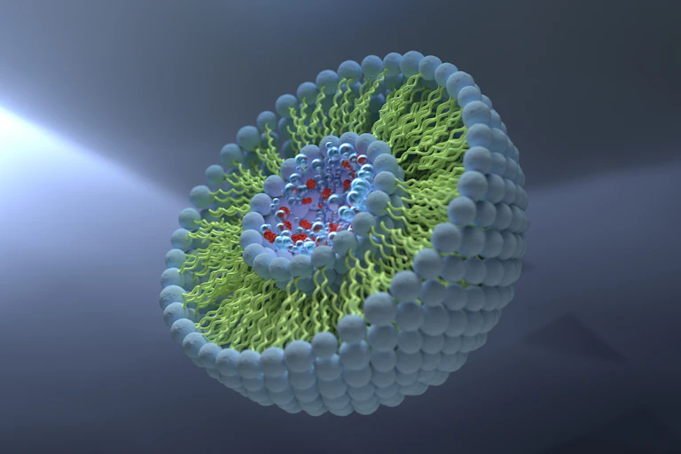3D illustration showing the structure of a liposome