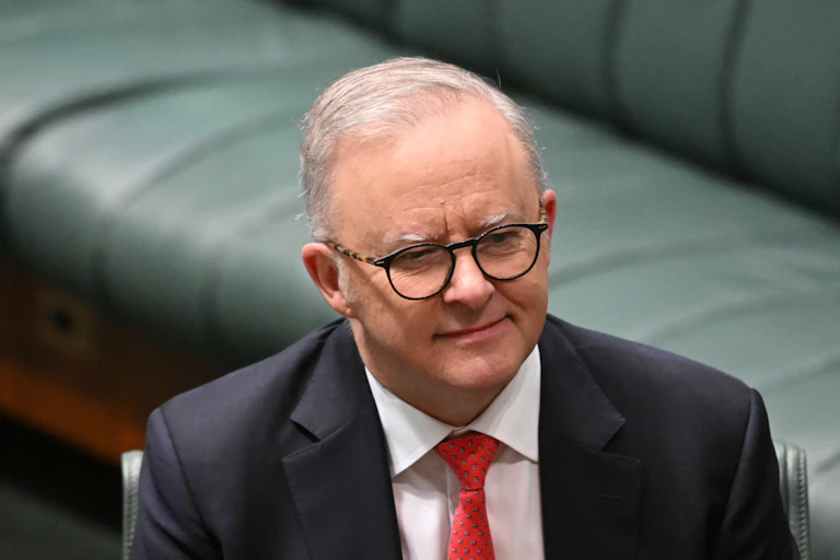 Anthony Albanese sits in parliament and smiles