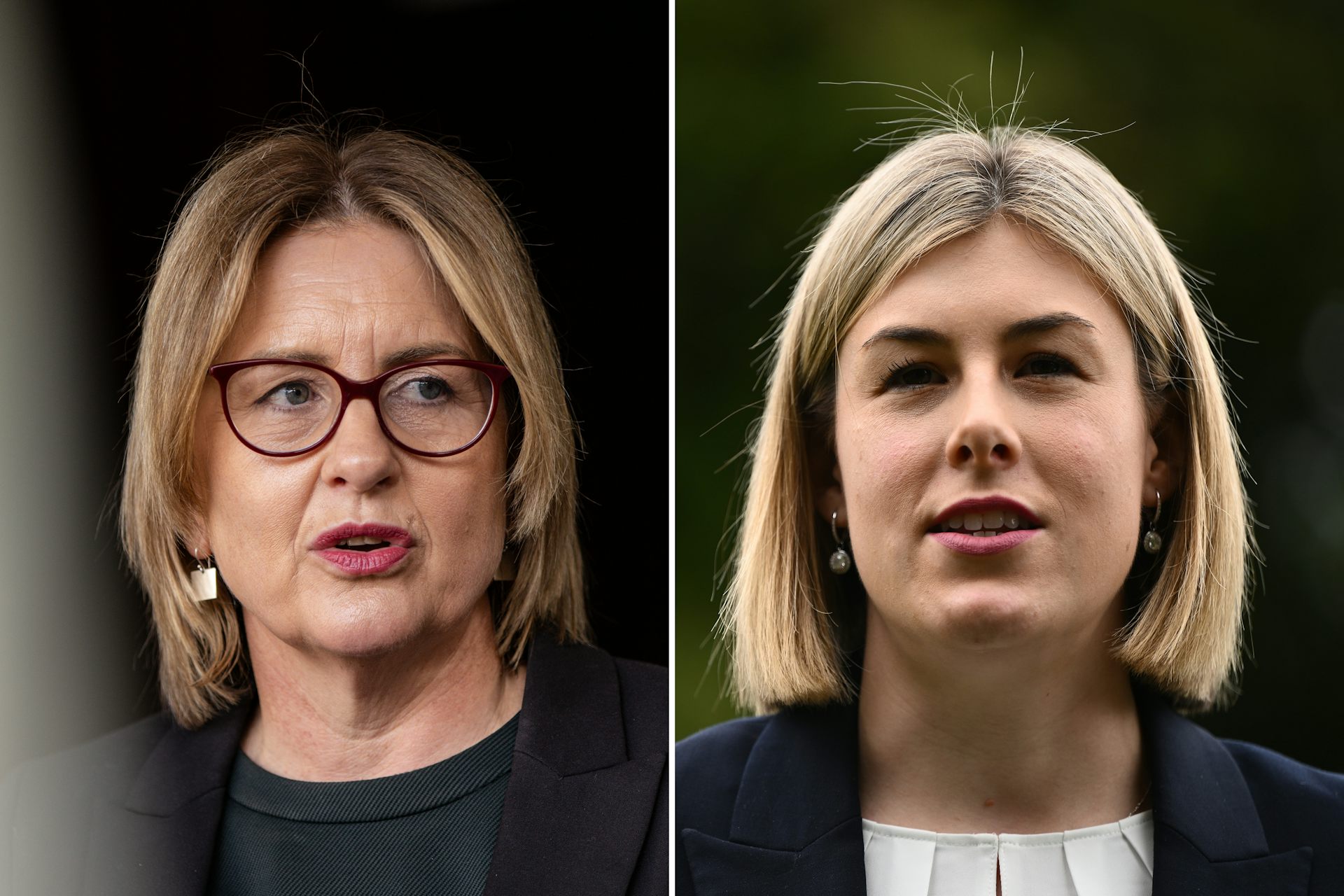 Labor gains in Resolve poll as DemosAU poll has One Nation winning 12 House seats