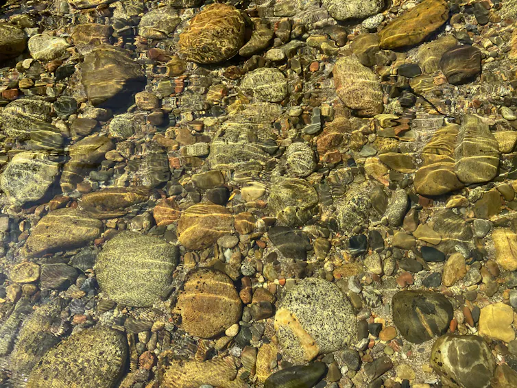Pebbles lie on the bottom of a clear alpine stream.