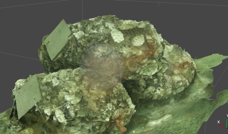 A visual representation of three stacked bags filled with oysters.