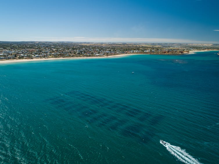 An aerial photo of a small boat streaking across blue water.