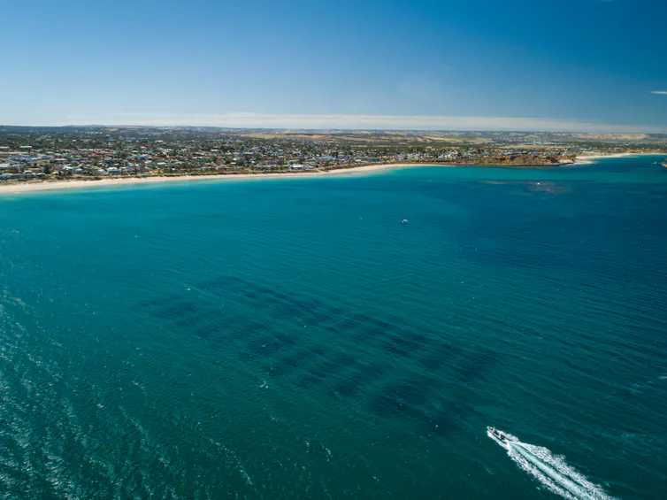 An aerial photo of a small boat streaking across blue water.