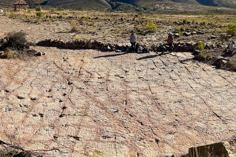 Dinosaur tracks at the Carreras Pampas tracksite in Torotoro National Park.