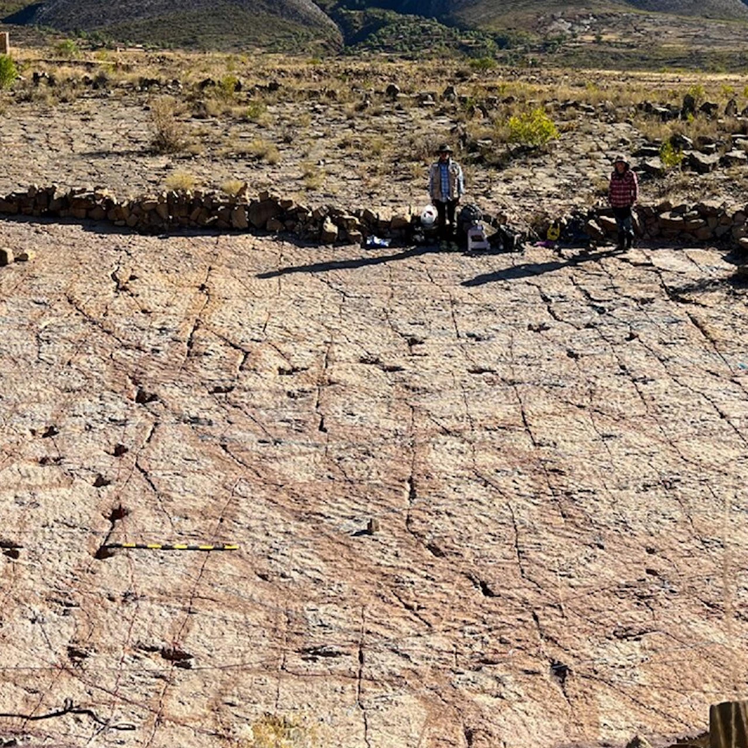 Dinosaur tracks at the Carreras Pampas tracksite in Torotoro National Park.