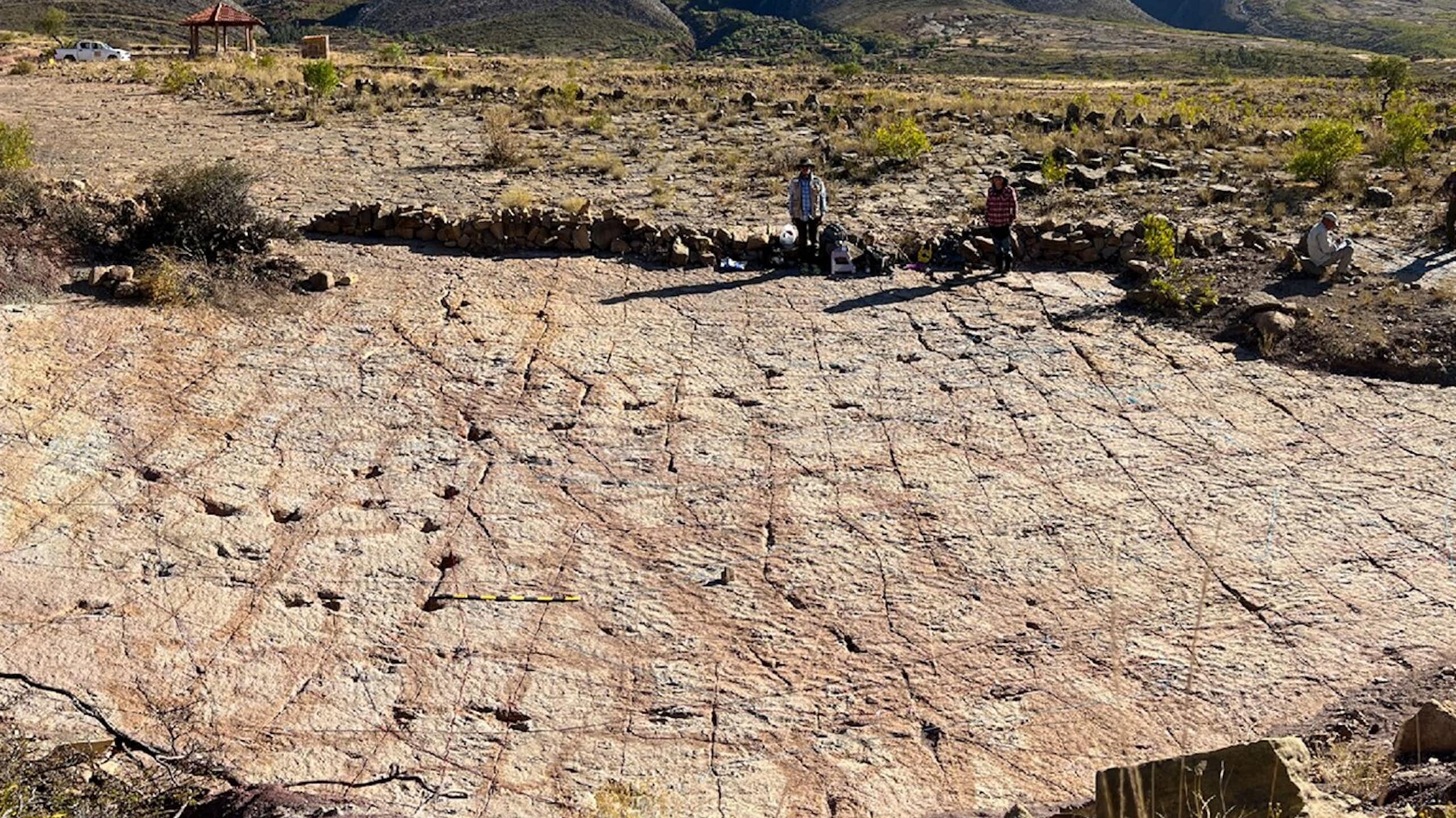 Dinosaur tracks at the Carreras Pampas tracksite in Torotoro National Park.