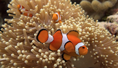 Why is inexperienced the colour of nature? 4 file 20251209 56 6albix.png?ixlib=rb 4.1