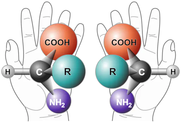 This image has been removed. For security reasons, only images from the local domain are allowed. Image removed.