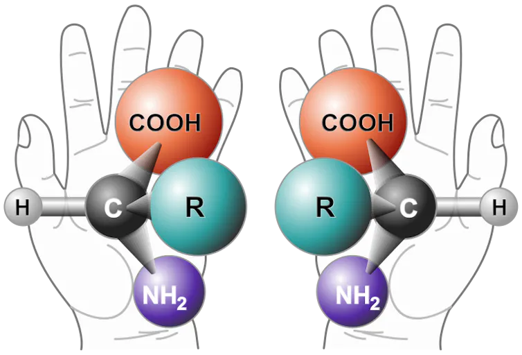 Two hands with two molecules that are mirror images of each other shown over them.