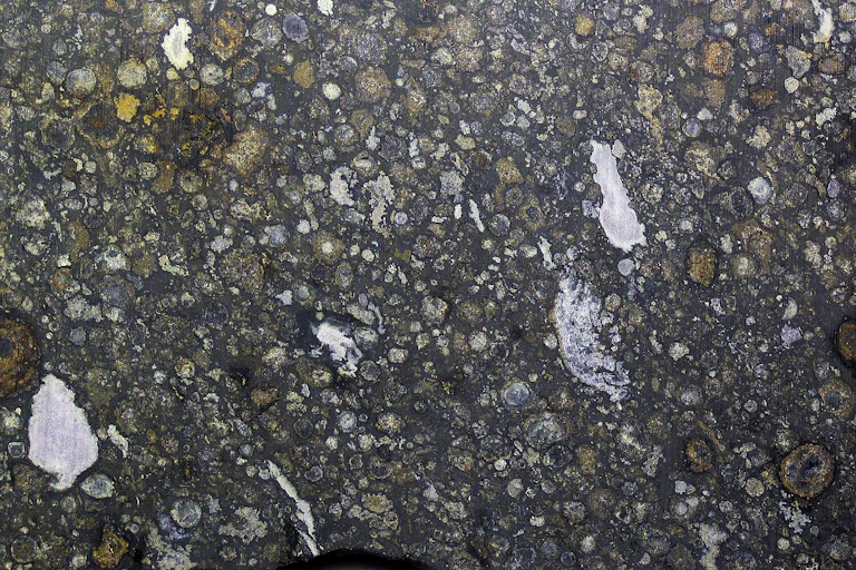 A close up of a meteorite, which looks like a rock speckled with different minerals.