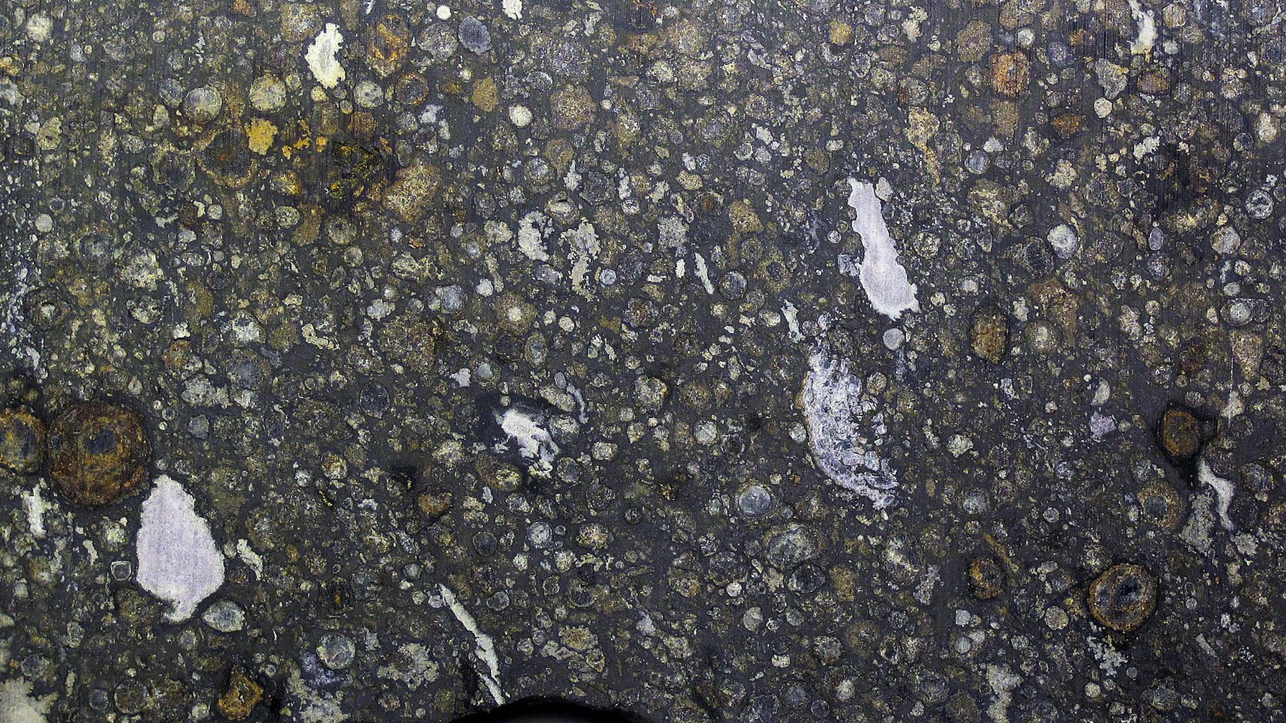 A close up of a meteorite, which looks like a rock speckled with different minerals.