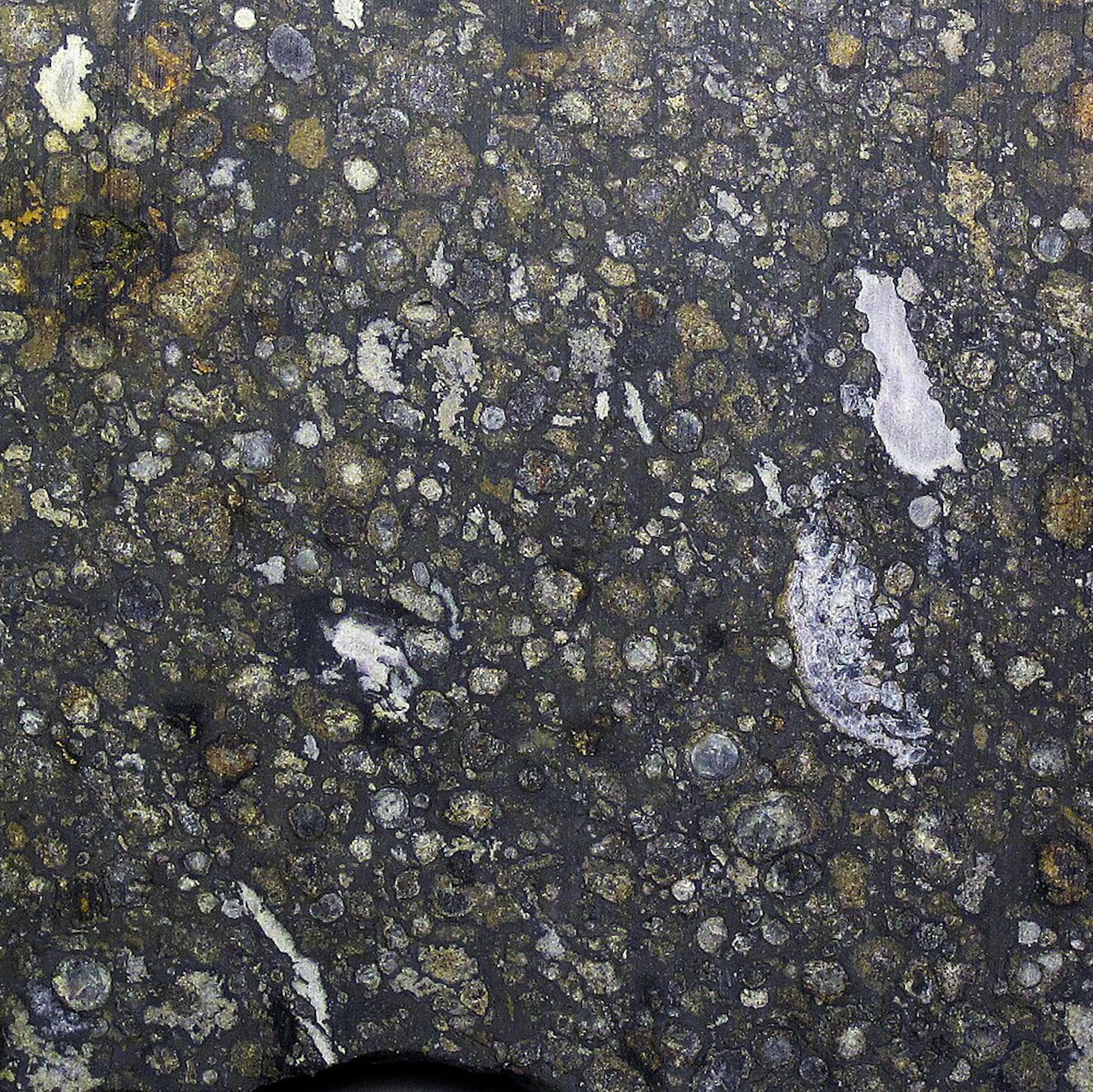 A close up of a meteorite, which looks like a rock speckled with different minerals.