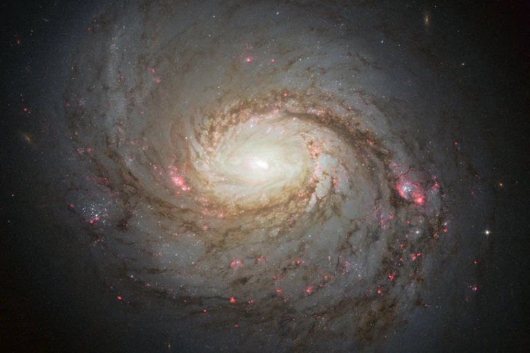 A spiral galaxy speckled with stars