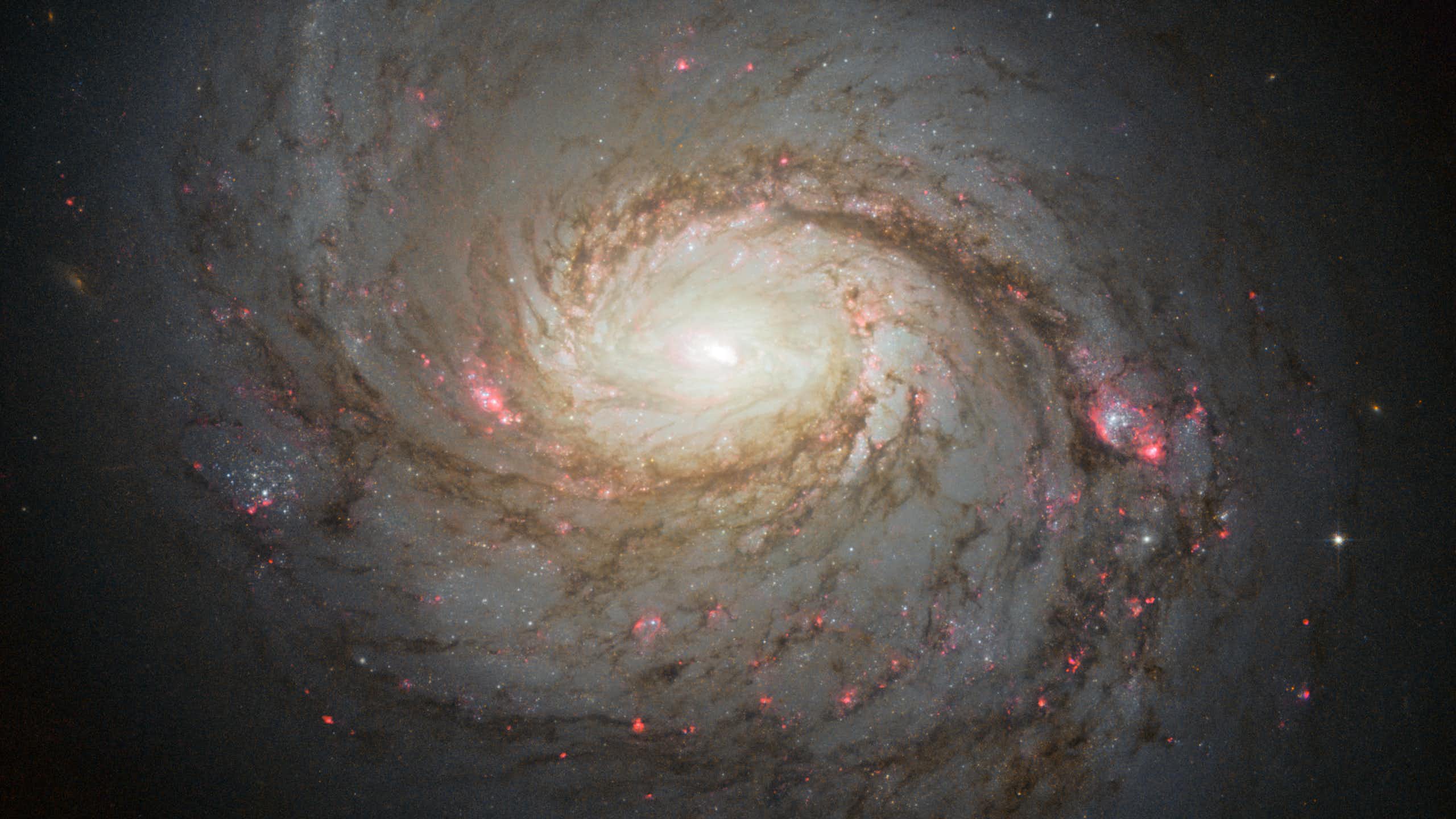 A spiral galaxy speckled with stars