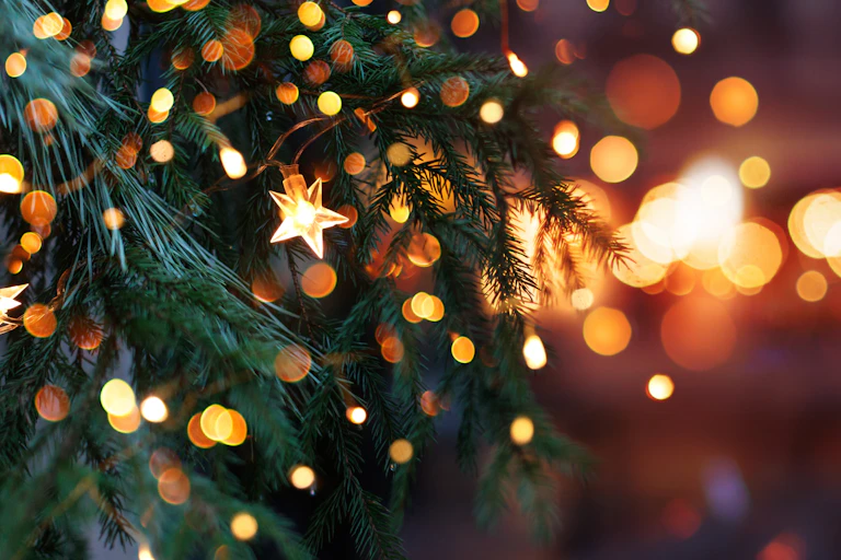 Christmas tree with garland lights