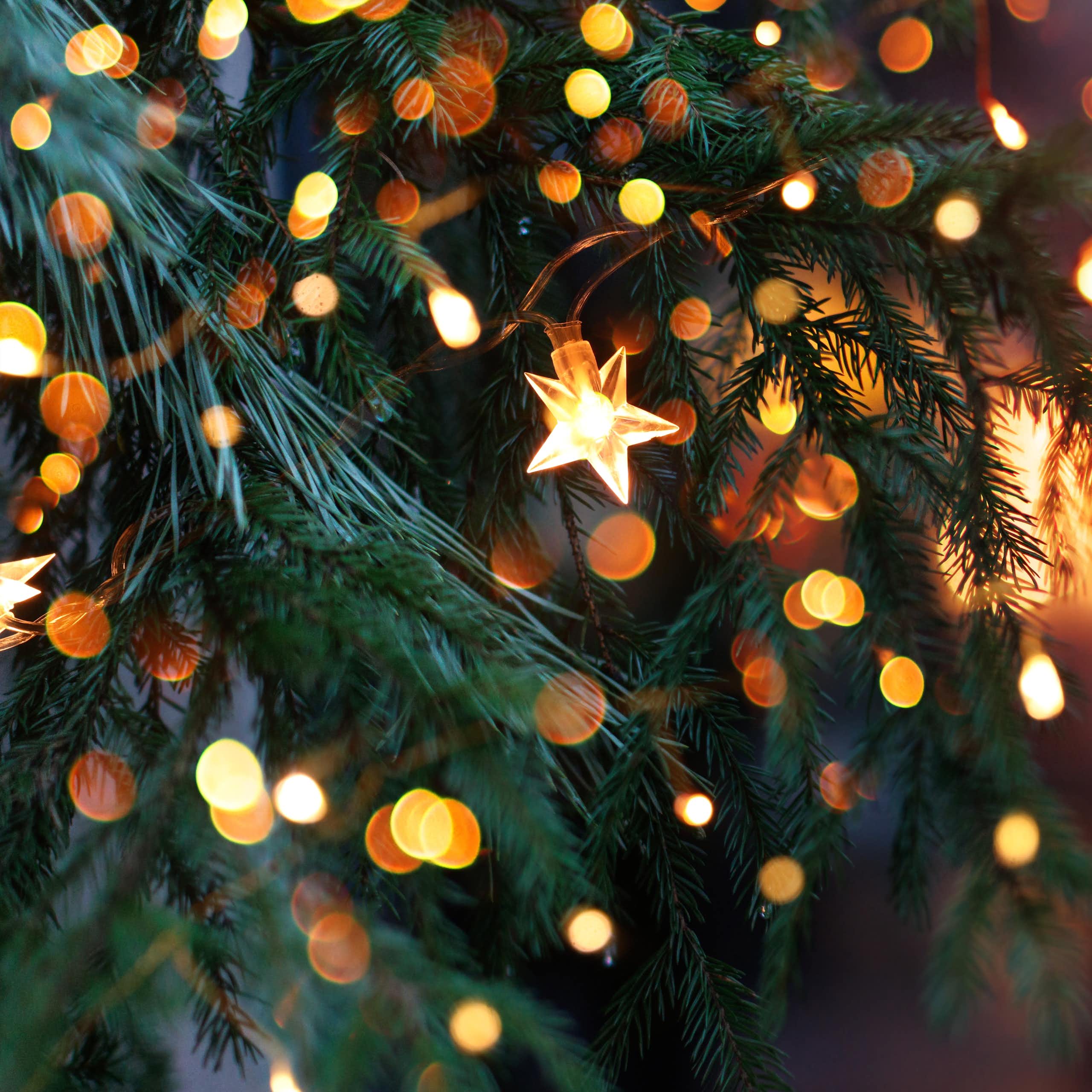 Christmas tree with garland lights