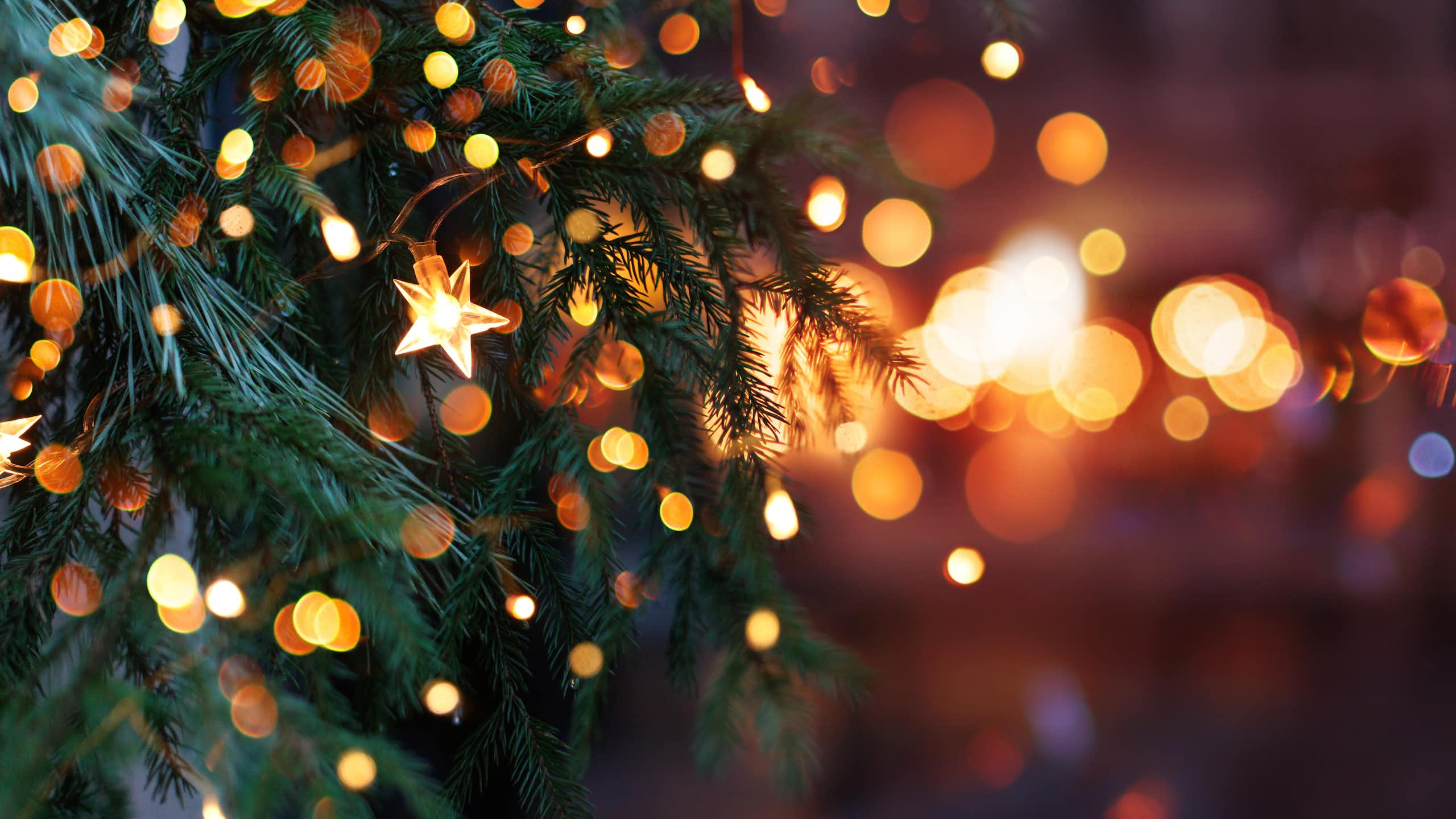 Christmas tree with garland lights