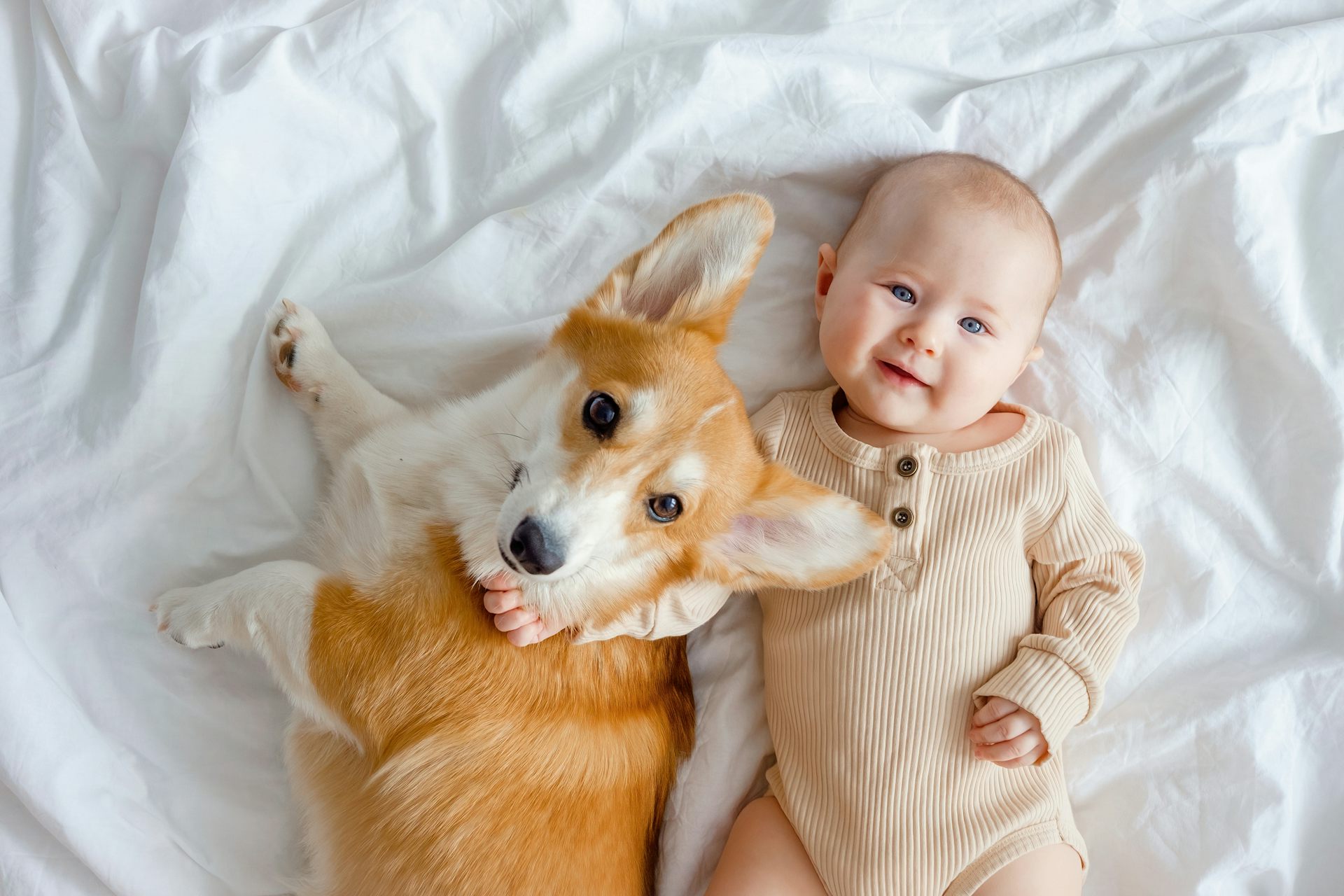 A smiling infant and ginger corgi pembroke lying together on a white sheet.