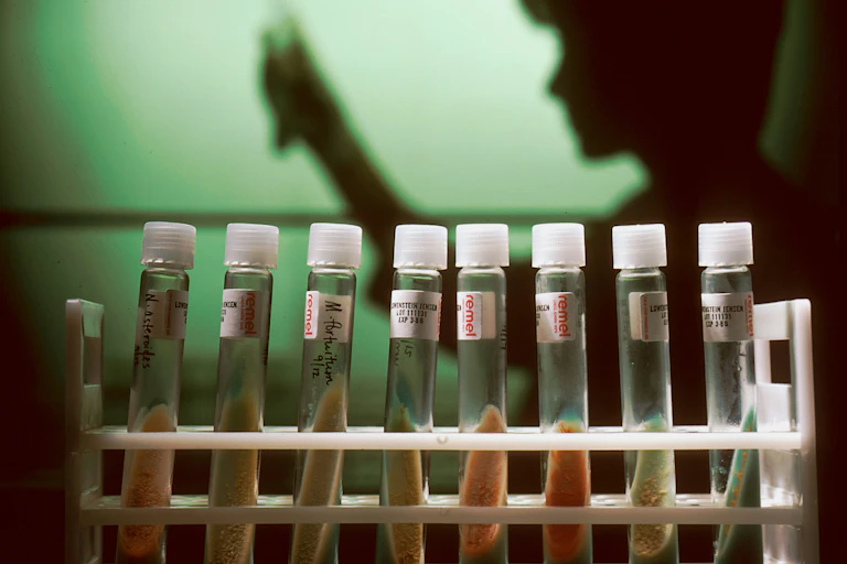 A row of test tubes in front of a silhouetted person.