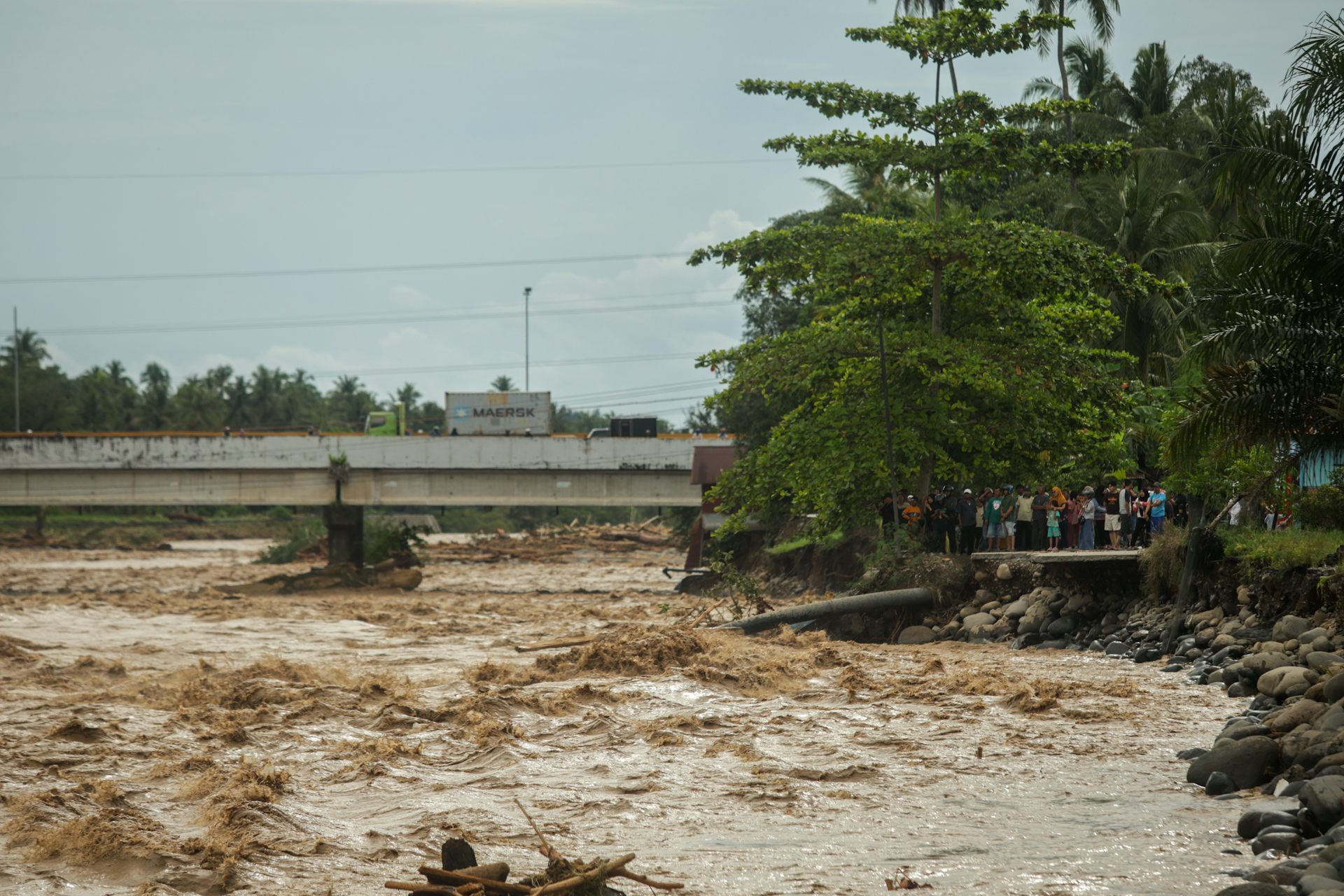Политическая элита контролирует экономические ресурсы.