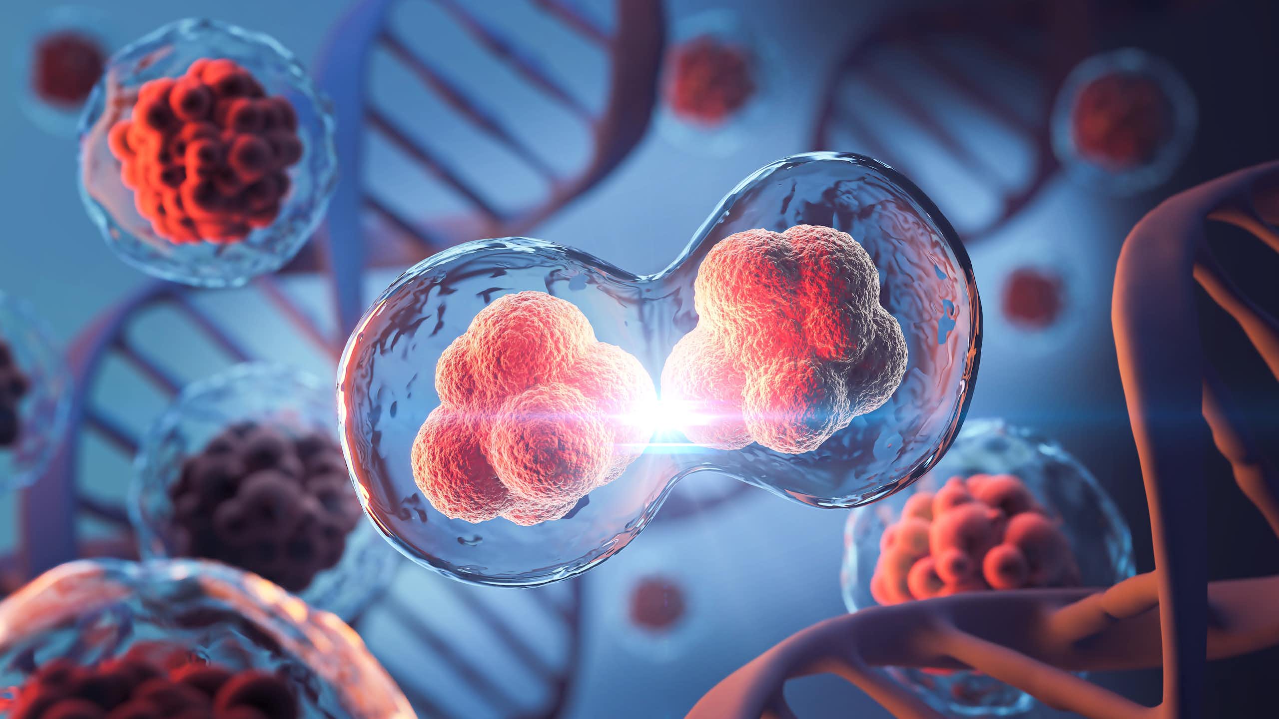 Representación de una célula duplicándose.