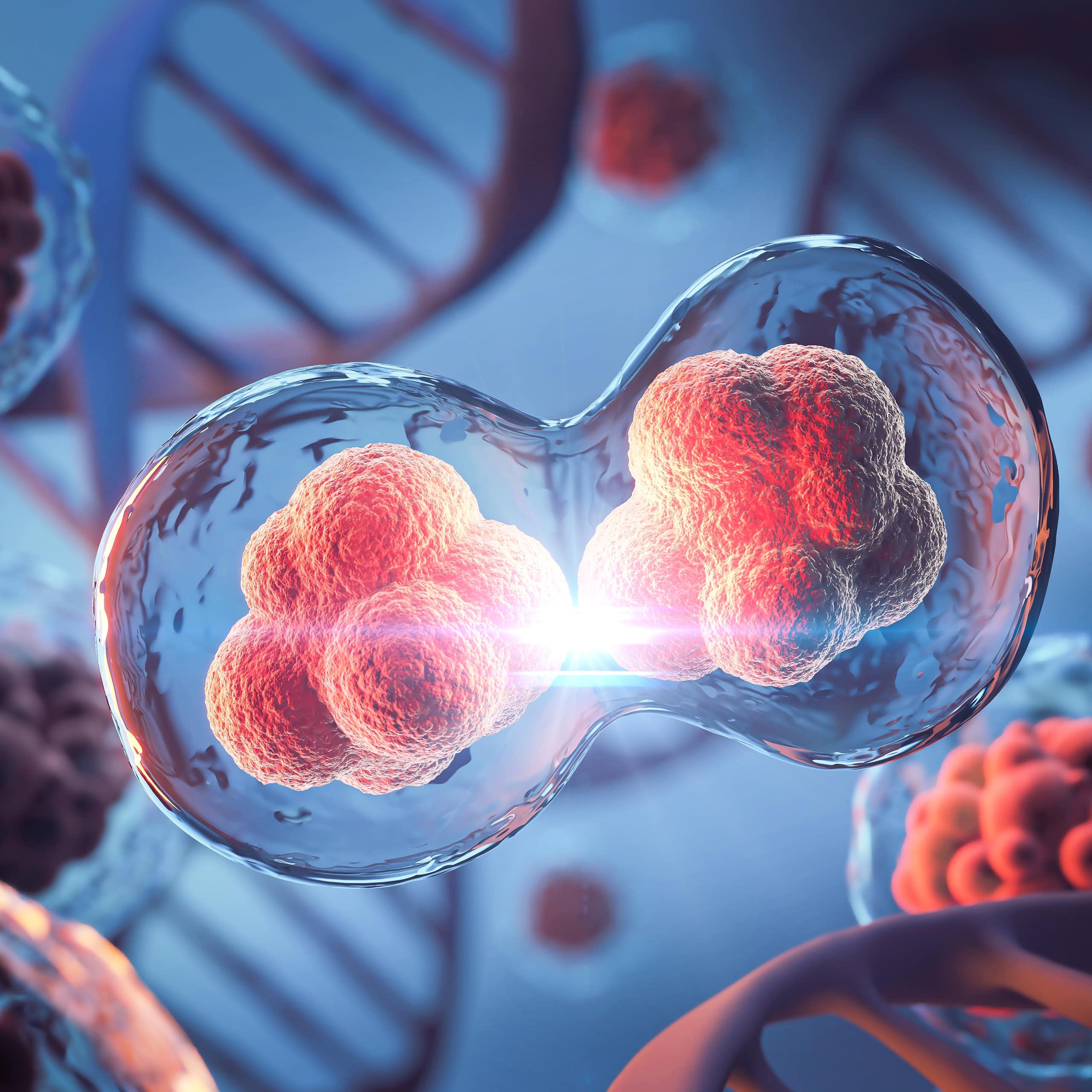 Representación de una célula duplicándose.