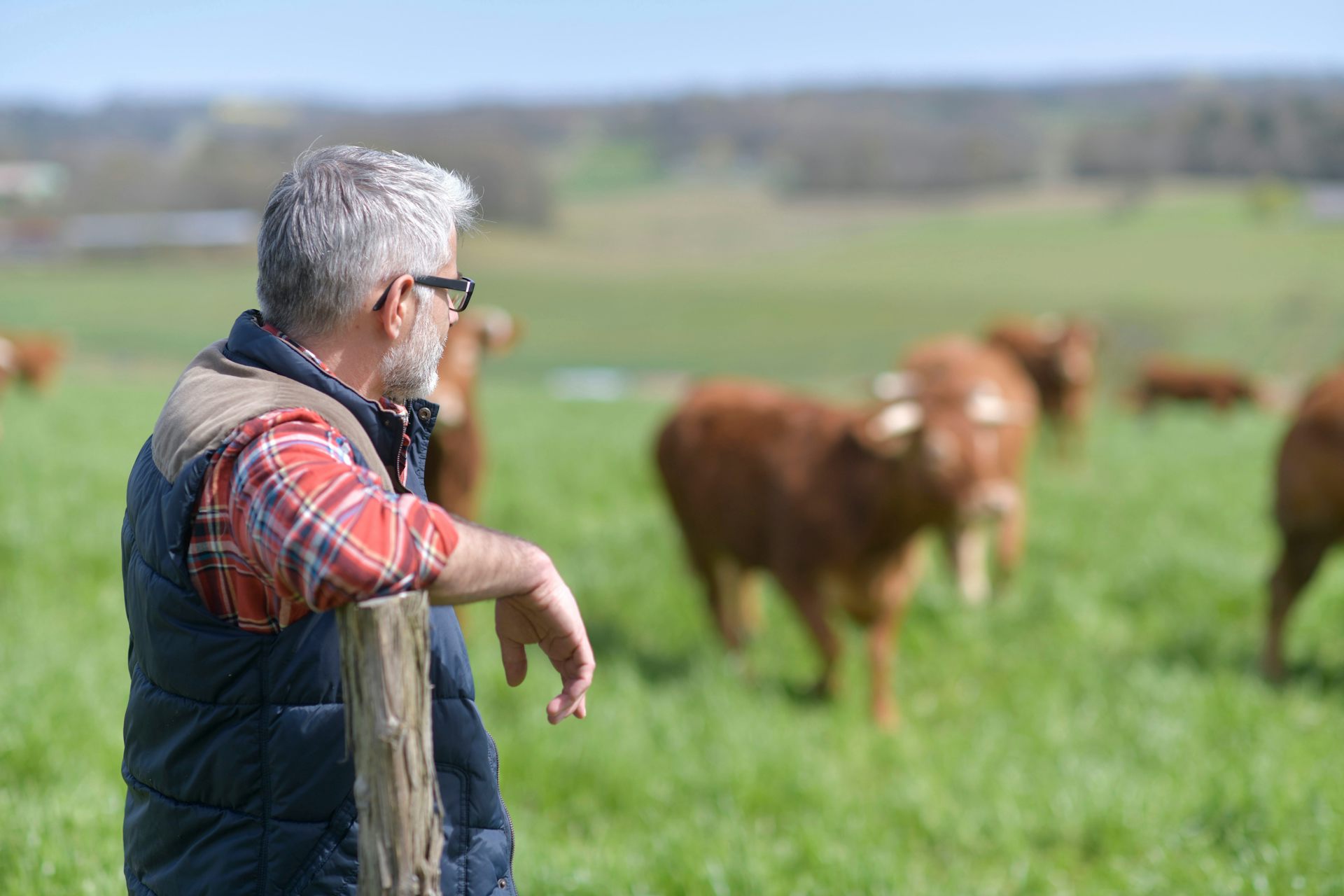 Growing a mix of plants in fields can save farmers money and help the environment &ndash; new research