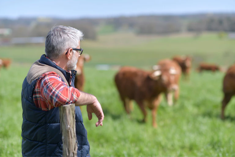 A farmer in a field with a cow in background.