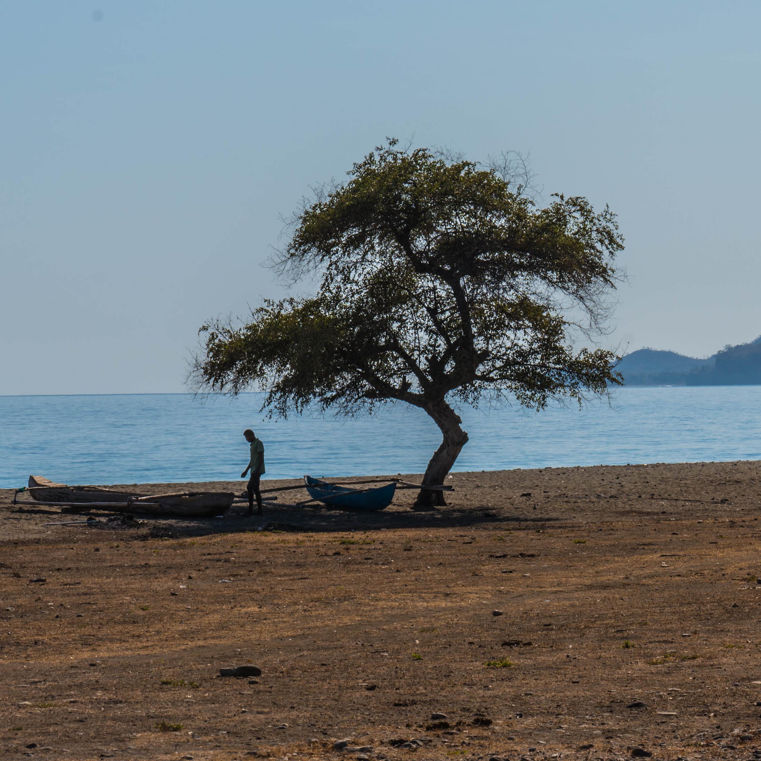 A beach in Oecusse, Timor-Leste