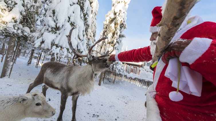 A white-bearded man wearing red and white Santa gear feeds a reindeer in the midst of a snowy yard.