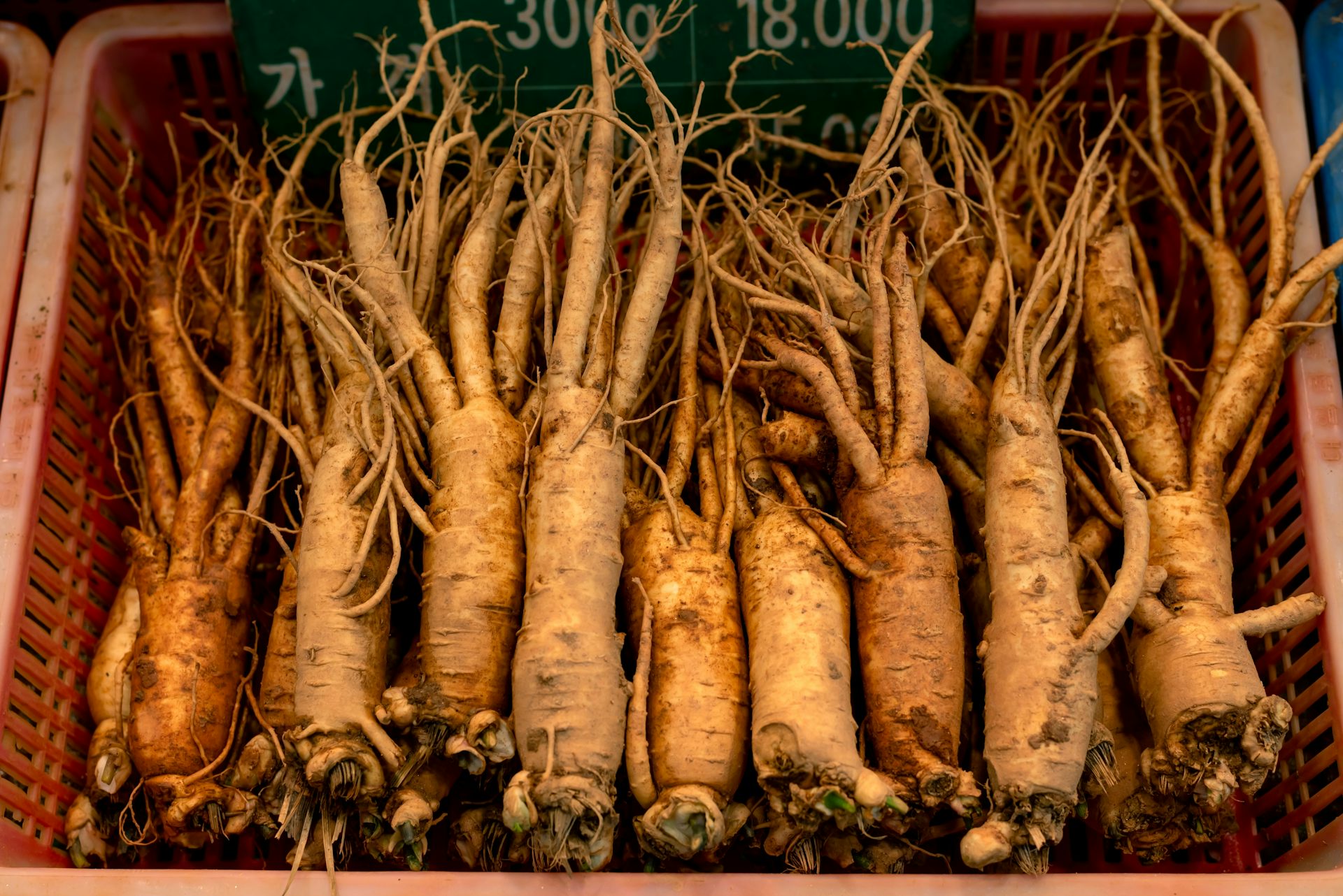 Bagaimana membuat temulawak Indonesia mendunia? Belajar dari ginseng Korea Selatan