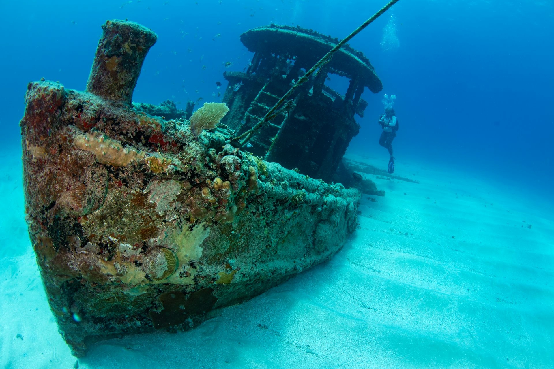 Small tugboat shipwreck