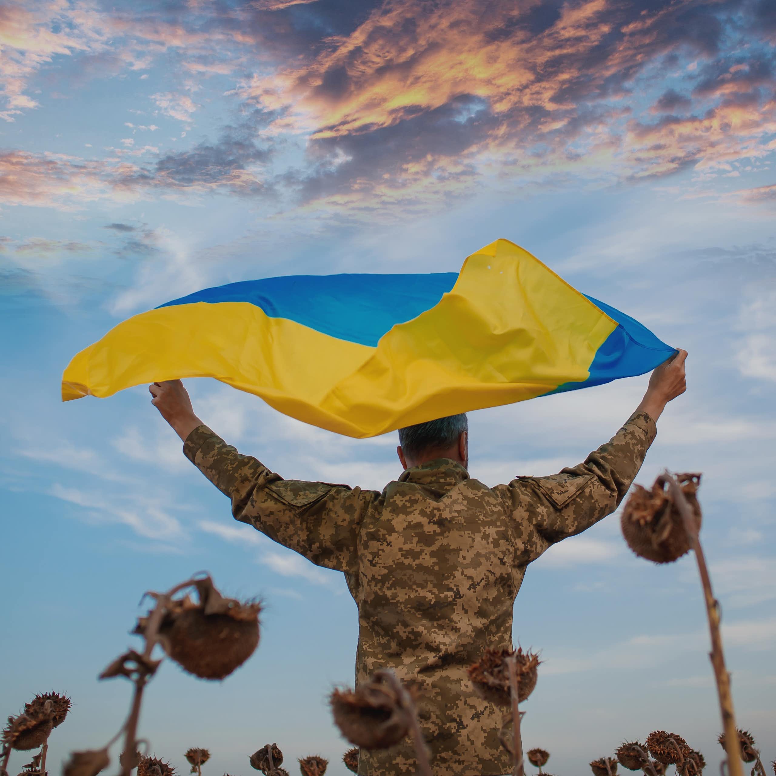 A Ukrainian soldier holds the national flag in a sunflower field.