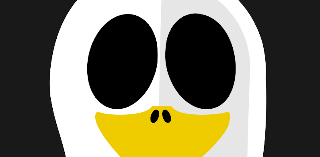 Buffer Overflows Are The Ghosts That Will Always Be Among Us