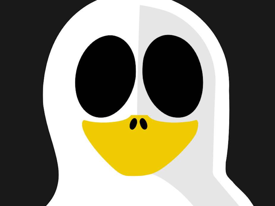 Buffer Overflows Are The Ghosts That Will Always Be Among Us