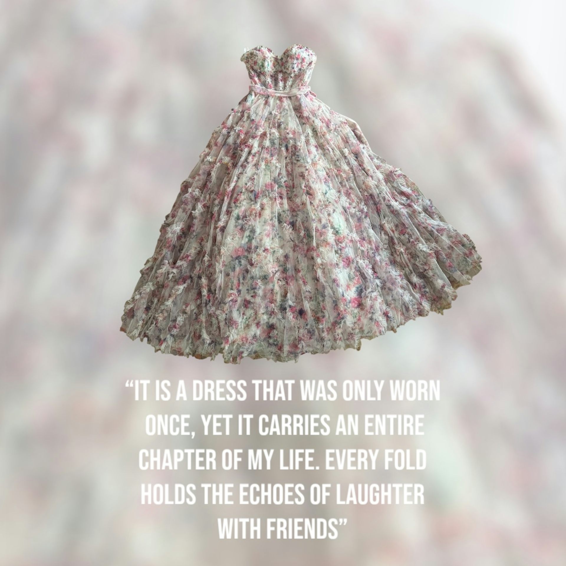 file 20251212 56 3g19re.JPG?ixlib=rb 4.1