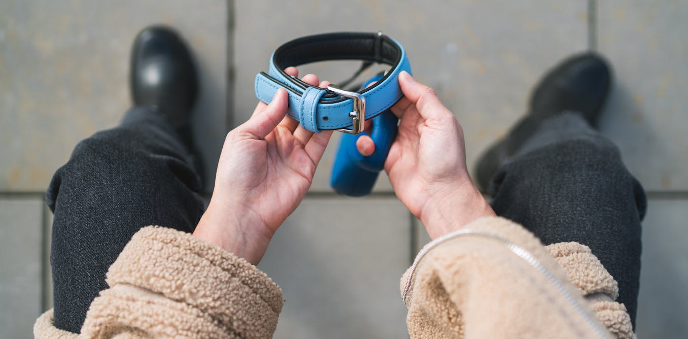 Why grieving a pet can be as hard as grieving a person Why grieving a pet can be as hard as grieving a person