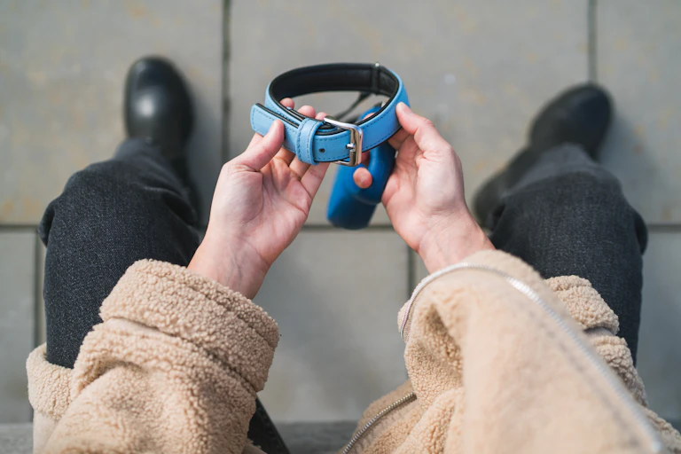 Top view of dog owner holding dog collar in hands